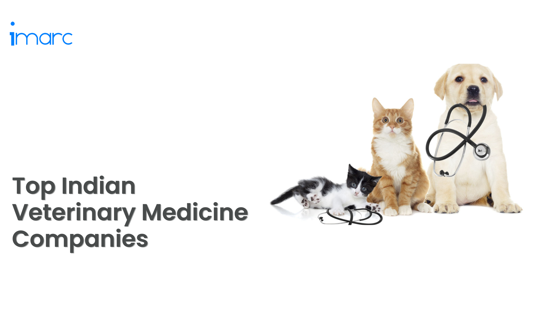 Top Indian Veterinary Medicine Companies And Manufacturers